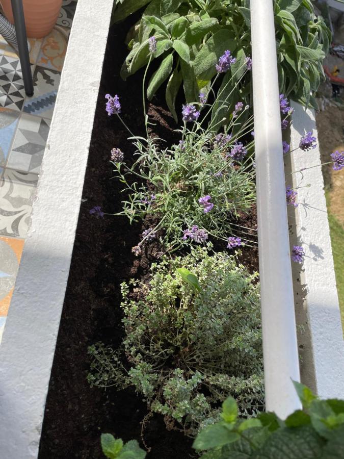Family Home Koper Exterior foto